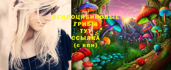 COCAINE Белокуриха