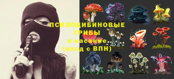 COCAINE Белокуриха