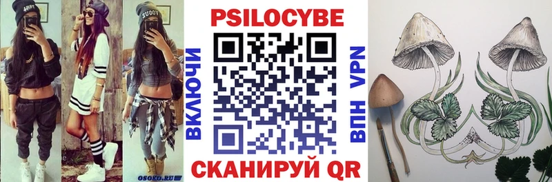 Псилоцибиновые грибы мицелий  Омск 